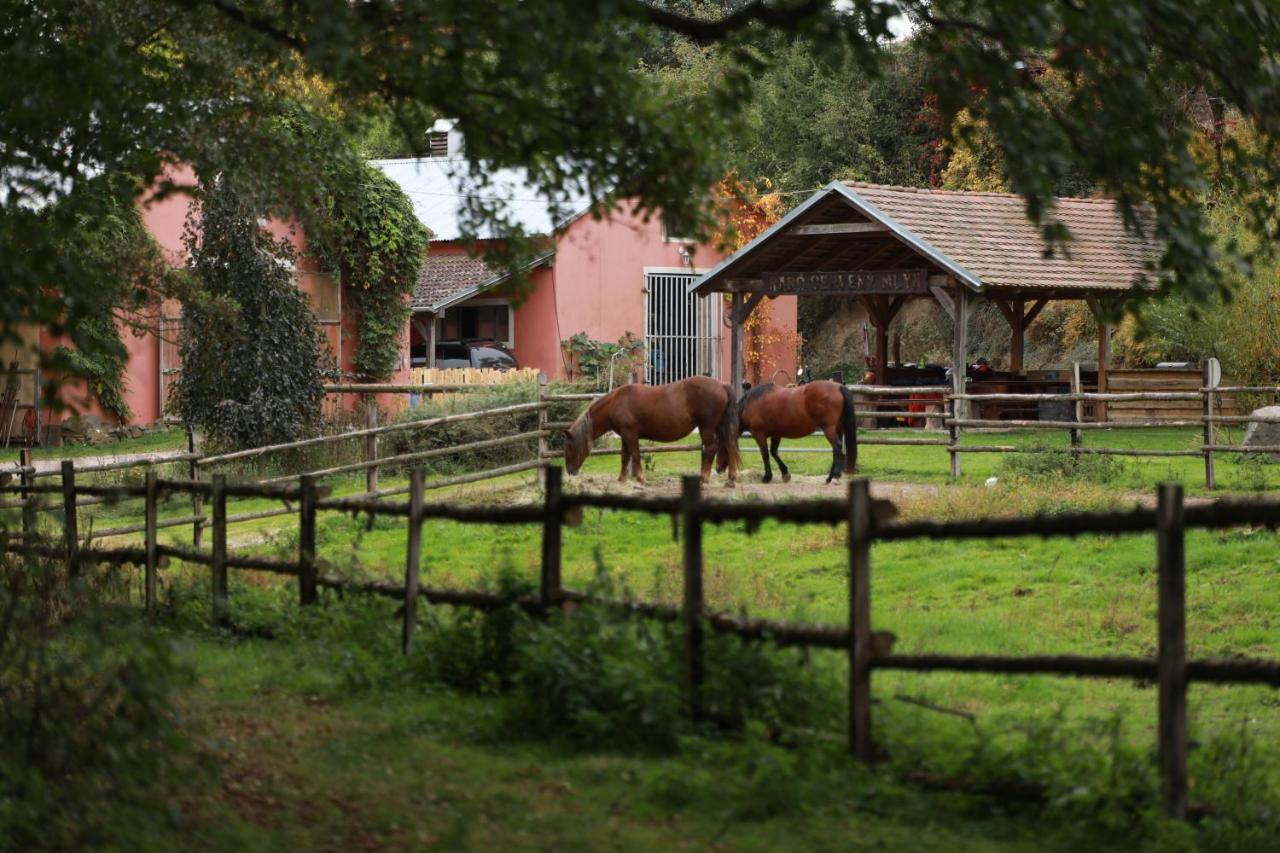 Ranc Cerveny Mlyn Villa Lisov  Buitenkant foto