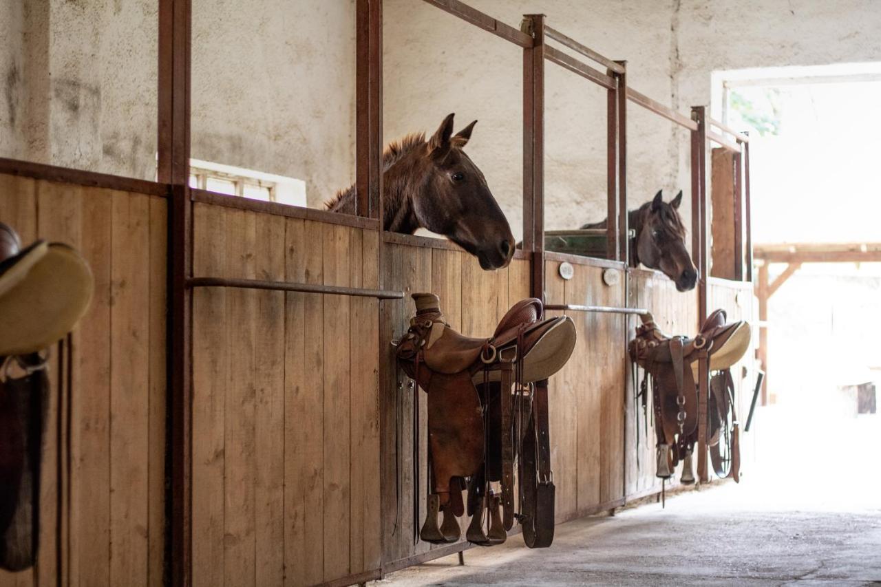 Ranc Cerveny Mlyn Villa Lisov  Buitenkant foto